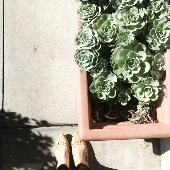 Meet your Posher, Victoria - Picture 1 of 1